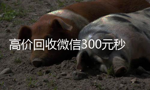 高价回收微信30回收微信号官网0元秒结（高价24小时回收微信）